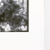 blackprint edition - limited edition nude antique photography detail handmade paper angle with deckled edges