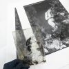 blackprint edition Limited Edition black and white nude photographs and original glass negative