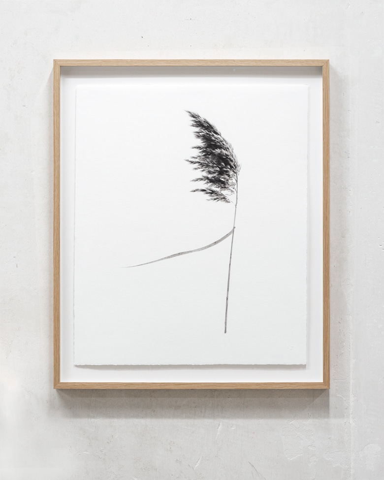 blackprint edition Limited Artist Edition featuring Klaus-Martin Gareis - "Schilfrohr" with frame