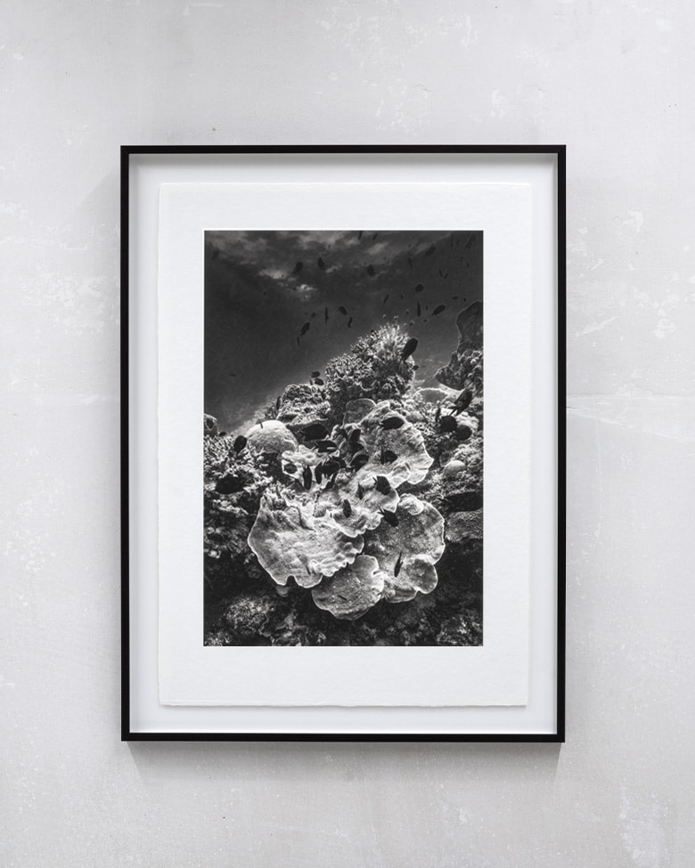 blackprint edition – The landscape we lose #08 - Eva Iten