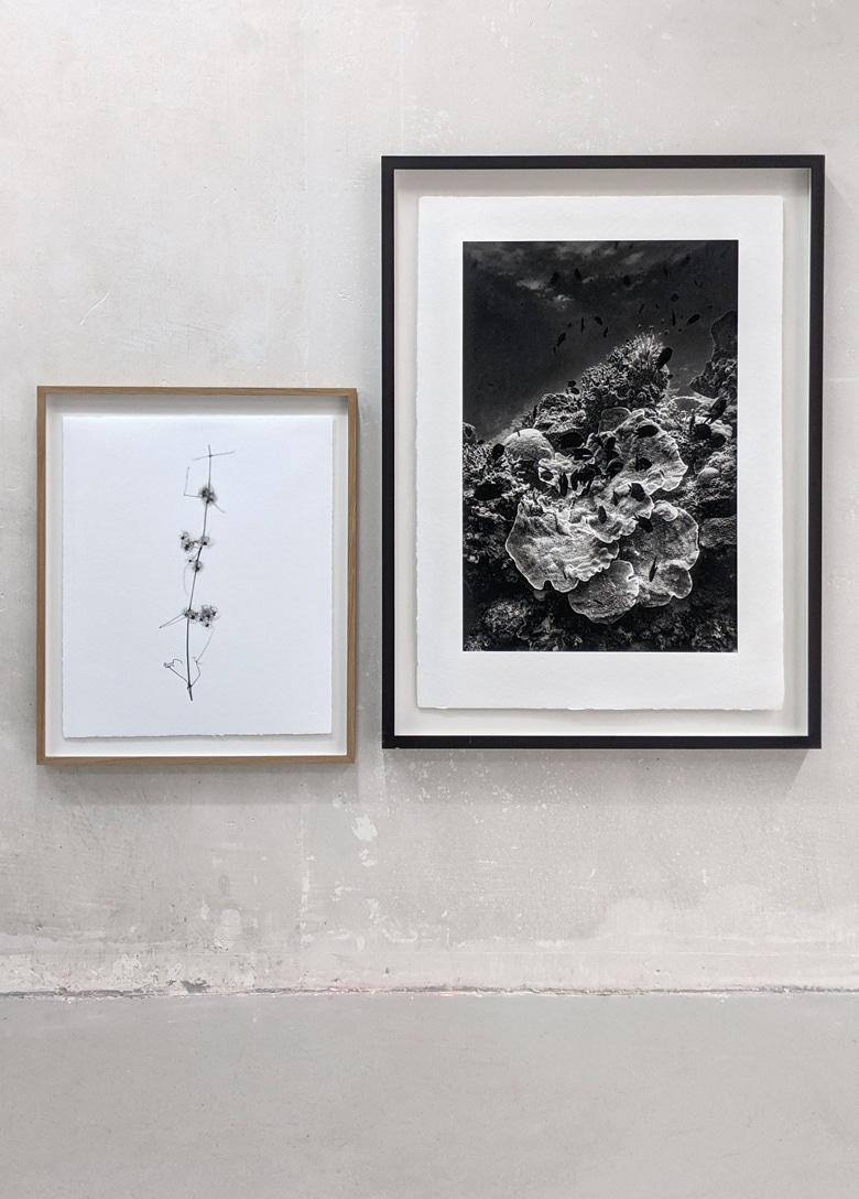 blackprint galery Dual exhibition - Eva Iten & Klaus-Martin Gareis